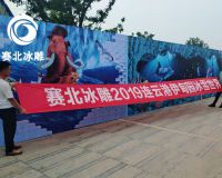 連云港伊甸園冰雕節(jié)「賽北冰雕」