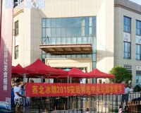 安遠(yuǎn)祥光中央公園冰雕節(jié)「賽北冰雕」