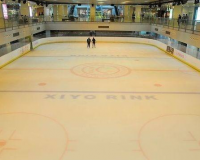 吉林遼源市南部新城滑冰館工程項目「賽北冰雕」