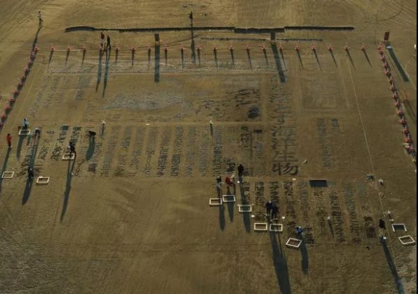 沙雕作品.jpg 沙雕作品.jpg