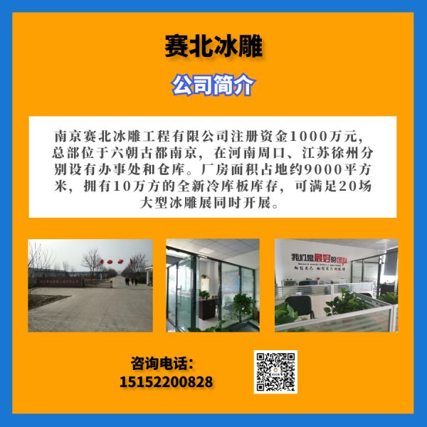 創(chuàng)意的冰雕制作 創(chuàng)意的冰雕制作