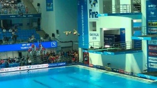 1563347784729560.jpg 世錦賽.jpg