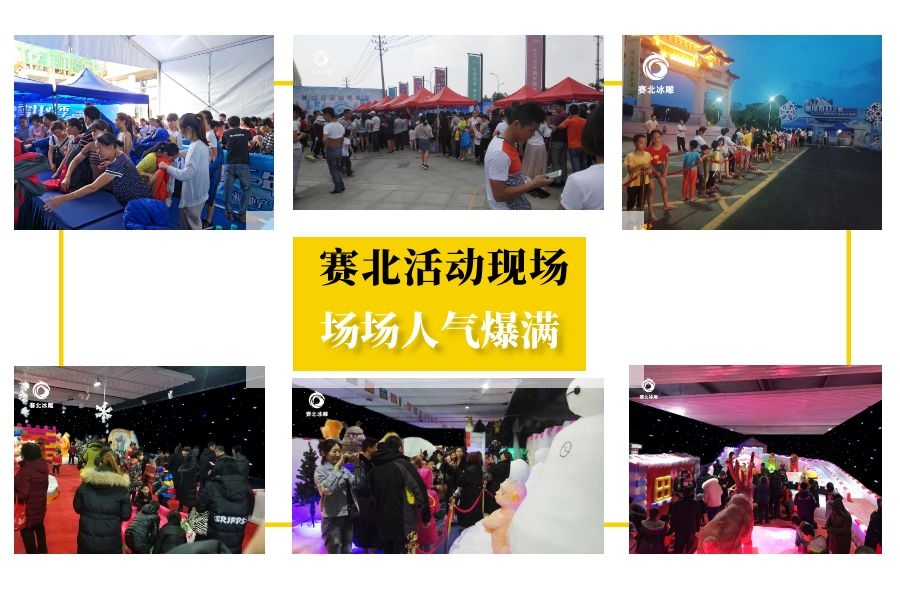 專業(yè)冰雕制作 專業(yè)冰雕制作