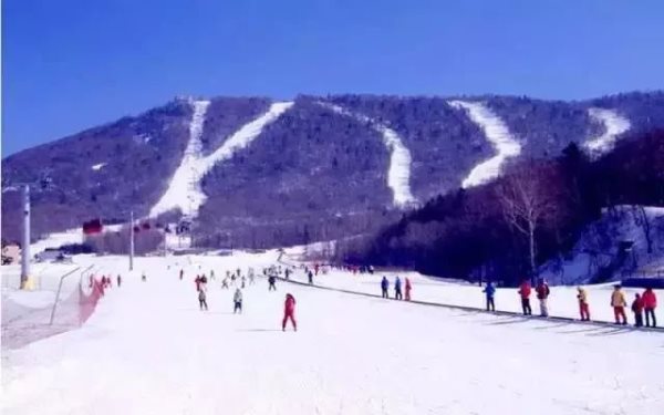 南山滑雪場 南山滑雪場