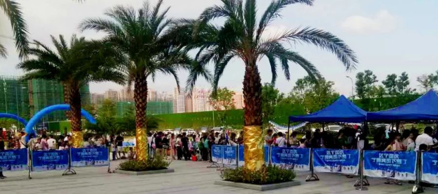 創意冰雕制作 創意冰雕制作