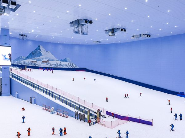 1573797792533906.png image.png