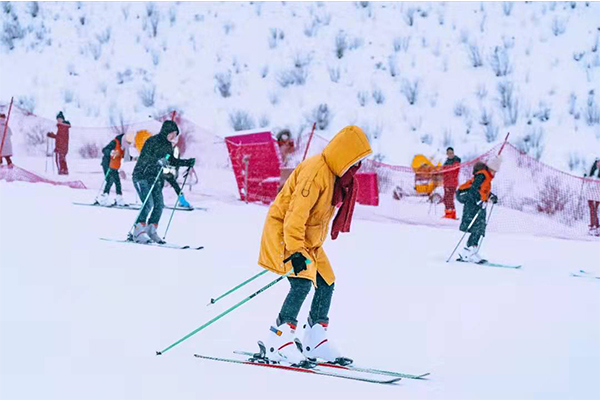 1640846731168660.jpg 446565.jpg